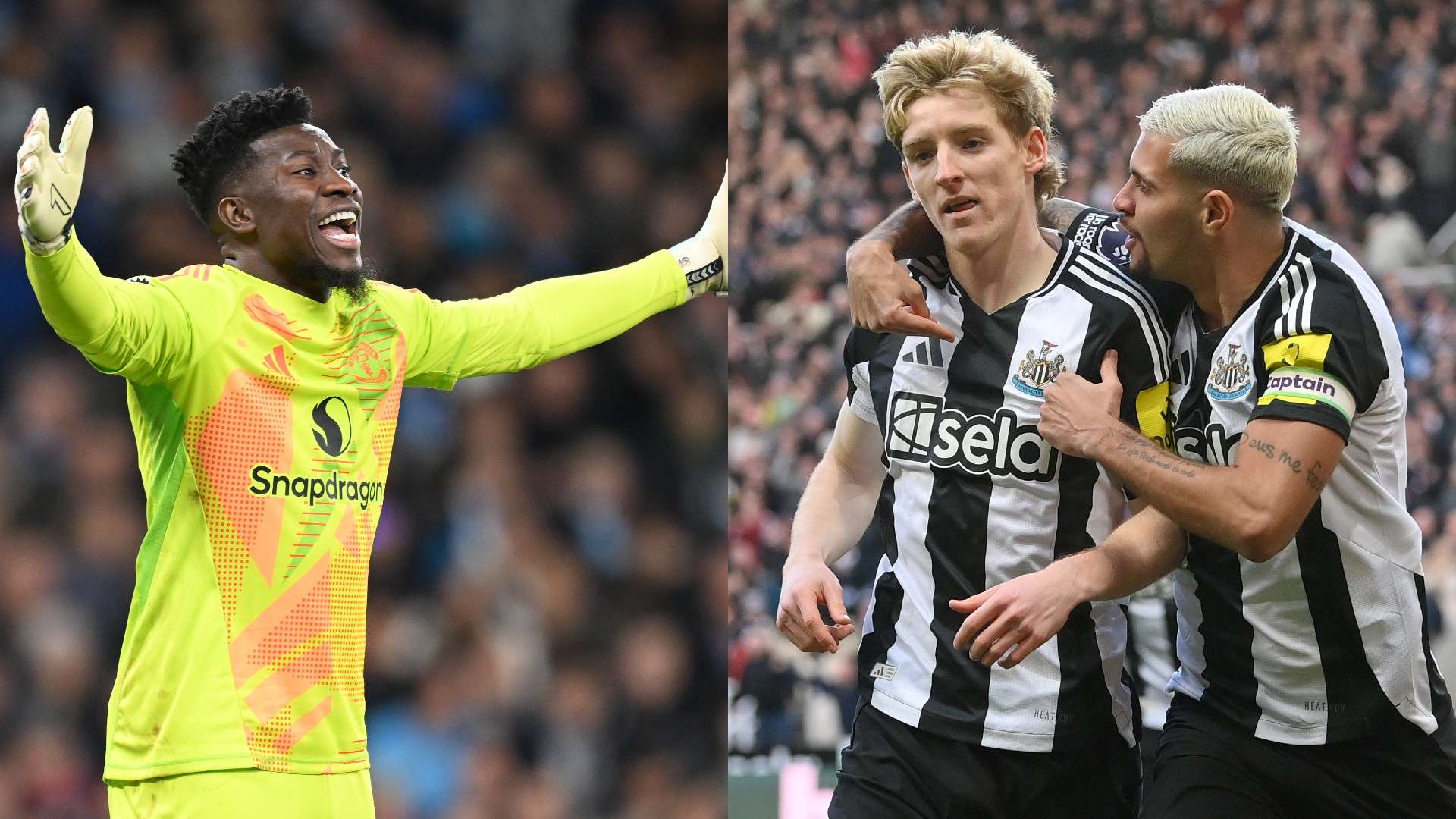 象也十分正 象也十分正