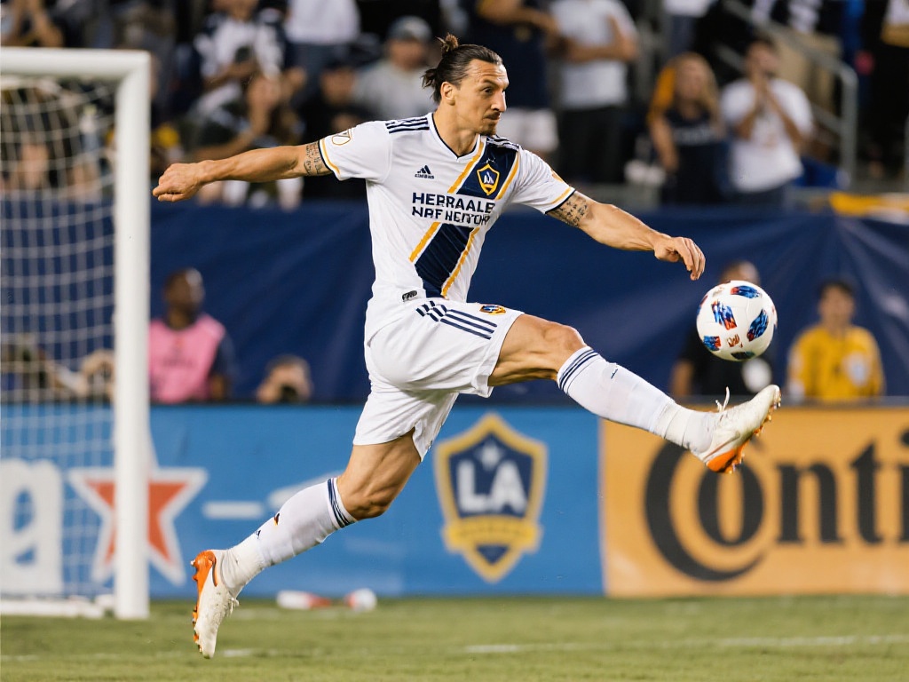 无论是广州 无论是广州