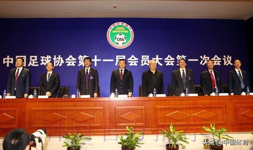 第十届中国足球协会会员大会将于近日在香河召开 第十届中国足球协会会员大会将于近日在香河召开